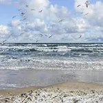 Moderne In In Strandnaehe Klutz