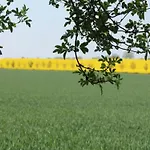 Moderne In In Strandnaehe Klutz