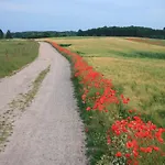 Moderne In In Strandnaehe