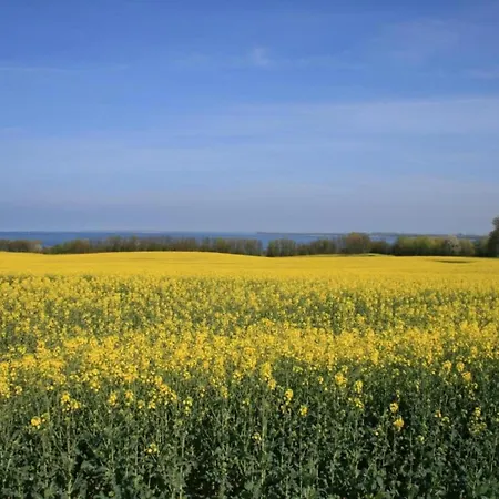 Moderne In In Strandnaehe Apartamento Klutz