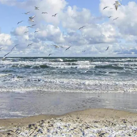 Moderne In In Strandnaehe Klutz