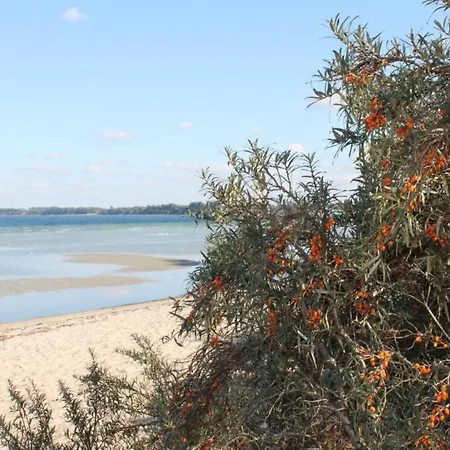 Moderne In In Strandnaehe * Klutz