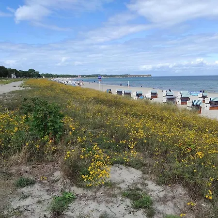 Moderne In In Strandnaehe