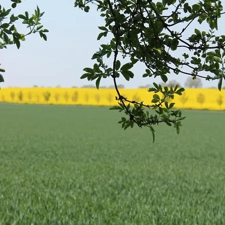 Moderne In In Strandnaehe Klutz