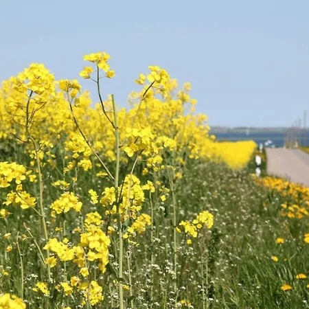 Moderne In In Strandnaehe *