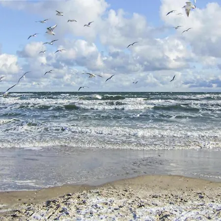Moderne In In Strandnaehe Klutz