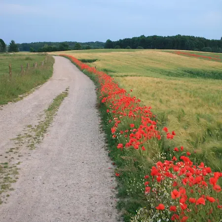 Moderne In In Strandnaehe